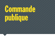 (Commande publique, France)