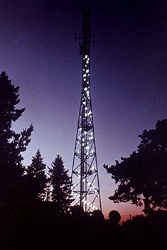 3P05337.jpg