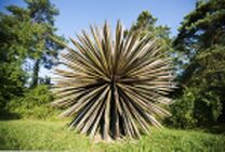 Vent des Forêts (France)
