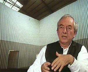 Daniel Buren 1995.jpg