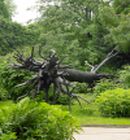 Jardin des Tuileries
