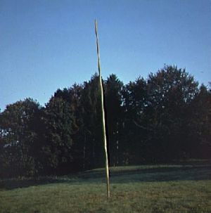1A49895.JPG