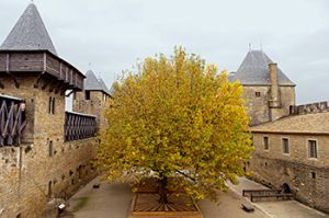 3P05588.jpg